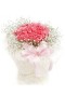 18 roses